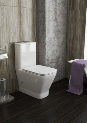 Унитаз OWLT200901 с бачком OWLT200901/2 Gap Ruta-G с сиденьем микролифт OWL фото в интернет-магазине Русалия