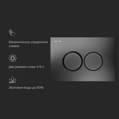 I070138 ProC L, клавиша для инсталляции пластик, черный матовый фото в интернет-магазине Русалия