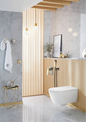 Гигиенический душ со смесителем Rose R1605Q, бронза фото в интернет-магазине Русалия