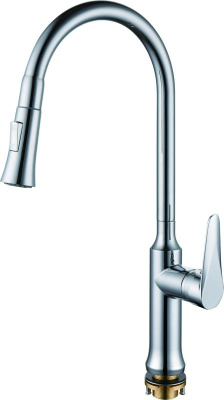 Смеситель для кухни RUSH Denis (DN0335-23) фото в интернет-магазине Русалия