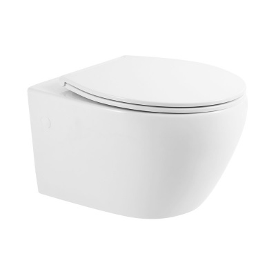 Унитаз подвесной безободковый Prospero BB507B/BB2020SC с сиденьем-микролифт Belbagno фото в интернет-магазине Русалия