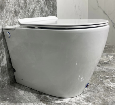 Унитаз приставной с функцией импульсного смыва SL-5030 (570х360х400) SantiLine фото в интернет-магазине Русалия