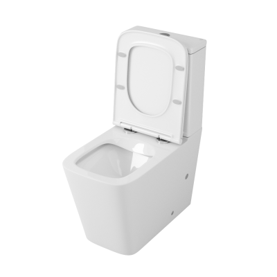 Унитаз OWLT190402 с бачком OWLT190402/2 Vatter Ruta-G с сиденьем микролифт OWL фото в интернет-магазине Русалия