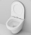 C501700WH Inspire подвесной унитаз FlashClean фото в интернет-магазине Русалия