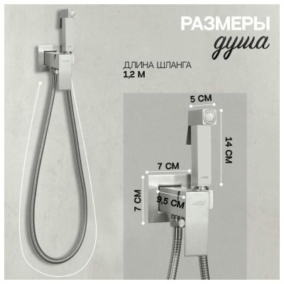 Гигиенический душ со смесителем встраиваемый Hansberge H3077NK, никель фото в интернет-магазине Русалия