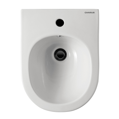 Керамическое подвесное биде CANBERRA BD700-141W CHARUS фото в интернет-магазине Русалия