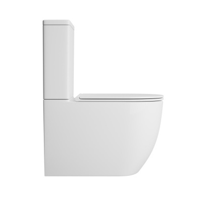 Унитаз OWLT190301 с бачком OWLT190301/2 Vind Cirkel-GL с сиденьем микролифт OWL фото в интернет-магазине Русалия