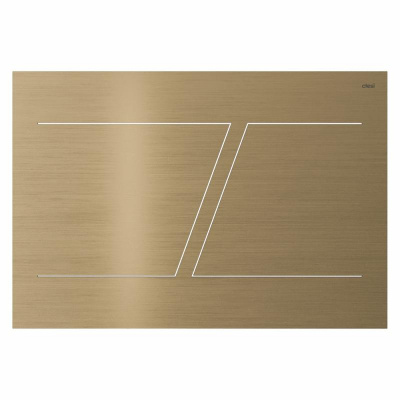 Клавиша CTESI Blair PVD (брашированная нерж. золото) фото в интернет-магазине Русалия