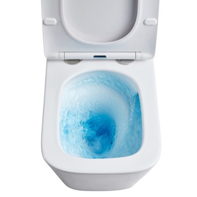 Унитаз подвесной безободковый Teramo AZ-0052-UQ Торнадо с сиденьем микролифт Azario фото в интернет-магазине Русалия