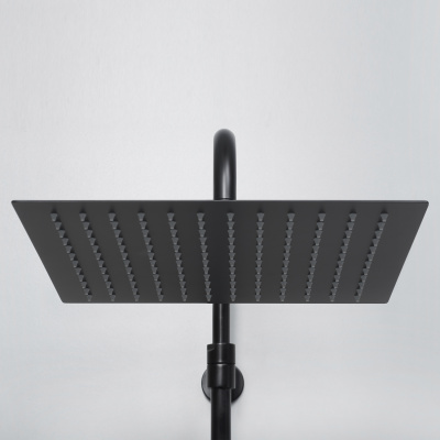 A29901 Thermo Душевой комплект с термостатическим смесителем Wasserkraft фото в интернет-магазине Русалия