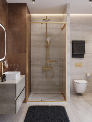 Душевая дверь CEZARES LUX-B-FS-1-100-C-BORO фото в интернет-магазине Русалия