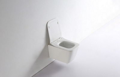 Унитаз подвесной CeramaLux 5170 бело-глянцевый фото в интернет-магазине Русалия