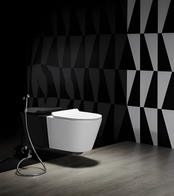 Унитаз ORTLER Aria подвесной безободковый Cerutti SPA CT7182 фото в интернет-магазине Русалия