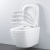 Унитаз подвесной безободковый укороченный 39206000 Euro Ceramic Grohe фото в интернет-магазине Русалия