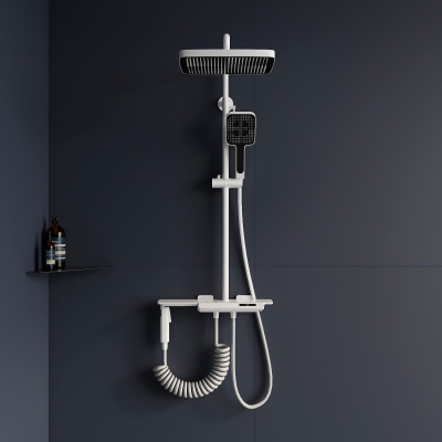 Душевая стойка RGW SP-35W белый фото в интернет-магазине Русалия