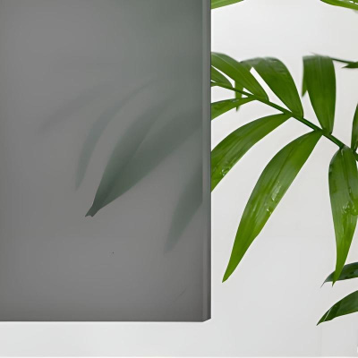 Душевая дверь RGW CL-13 1200, стекло тонированное, профиль хром фото в интернет-магазине Русалия