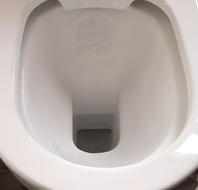 Унитаз VETTORE F приставной безободковый Ceruttispa  CT7841 (520х340х400) фото в интернет-магазине Русалия