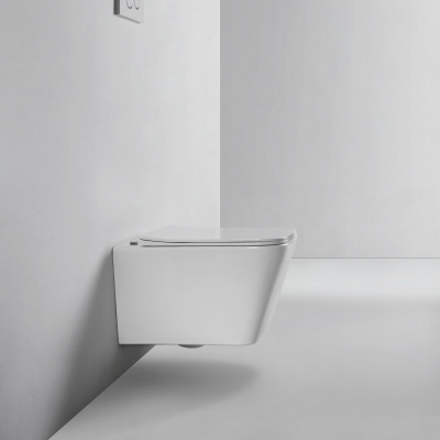 BOND F04-10 Унитаз подвесной безободковый с сиденьем с микролифтом фото в интернет-магазине Русалия