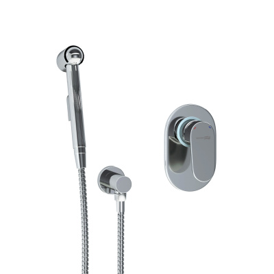 A15357 Встраиваемый комплект для биде со шлангом 120 см Wasserkraft фото в интернет-магазине Русалия