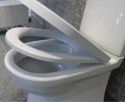 Унитаз MAX Comfort с сиденьем микролифт WC.CC/Max/2-DM/WHT.G/S1 Sanita Luxe фото в интернет-магазине Русалия