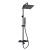 A299.255.218.BM Thermo Душевой комплект с термостатическим смесителем Wasserkraft фото в интернет-магазине Русалия