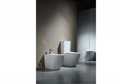 Биде напольное AQUATEK ЕВРОПА AQ1017-00 560*360*410 мм, цвет белый фото в интернет-магазине Русалия