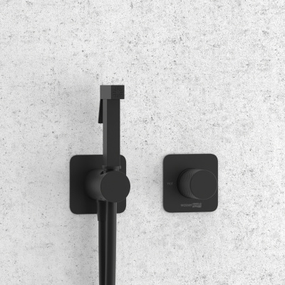 A5251.302.241.212 Встраиваемый комплект для биде со шлангом Wasserkraft фото в интернет-магазине Русалия