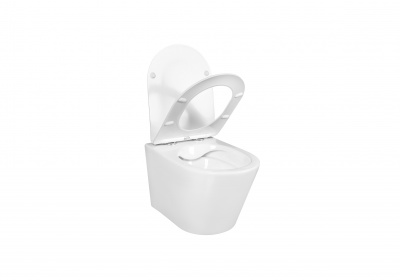 SET AQUATEK ВЕГА-1905-013 (рама AQUATEK Standard INS-0000012 с клавишей KDI-0000013 и крепежом KKI-0000001+унитаз ВЕГА AQ1905-00 с тонким сиденьем sc фото в интернет-магазине Русалия