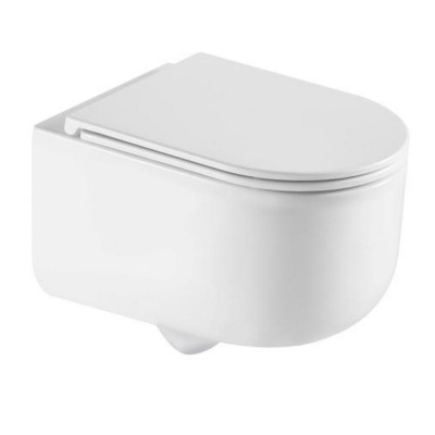 AQM2013PRO Унитаз подвесной сиденье SoftClose, технология смыва Invisible, скрыт крепеж. 490х360х380 AQUAme фото в интернет-магазине Русалия