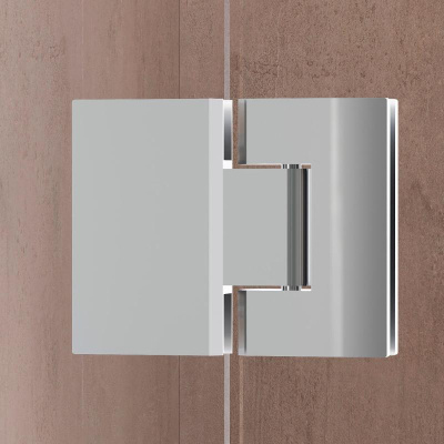 Душевая дверь RGW HO-008 1000, стекло прозрачное, профиль хром фото в интернет-магазине Русалия