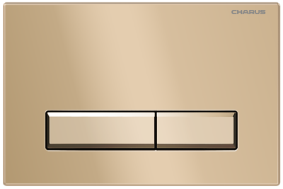 Клавиша для инсталляции CHARUS TM FP.321.51.01 фото в интернет-магазине Русалия