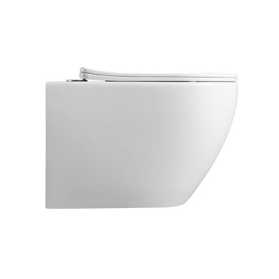 Унитаз подвесной CeramaLux 2196 -1 бело-глянцевый фото в интернет-магазине Русалия