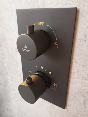 Душевая система с термостатом AltroBagno Unione 040408 MB AltroBagnoUnione040408MB фото в интернет-магазине Русалия