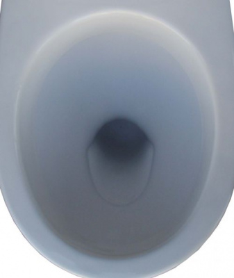 Унитаз - компакт с сиденьем дюропласт Бореаль 1WH302143 Сантек фото в интернет-магазине Русалия