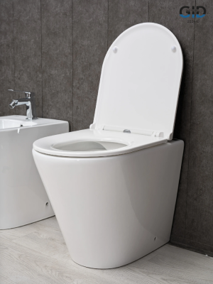 Унитаз приставной Gid TRS-263 62211Y белый 52x36x41 фото в интернет-магазине Русалия