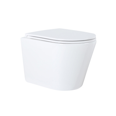 Унитаз подвесной безободковый Teramo Round Торнадо с сиденьем микролифт Azario фото в интернет-магазине Русалия