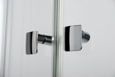 Дверь для душа Sanplast DJ/VE-100-S фото в интернет-магазине Русалия