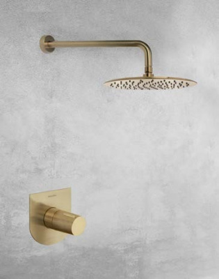 Излив тропического душа настенный круглый латунь HIDROTERAPIA BHRM250OC золото брашированное Ramon Soler фото в интернет-магазине Русалия