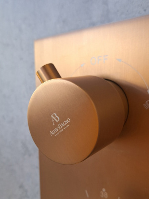 Душевая система с термостатом AltroBagno Unione 040410 BC AltroBagnoUnione040410BC фото в интернет-магазине Русалия