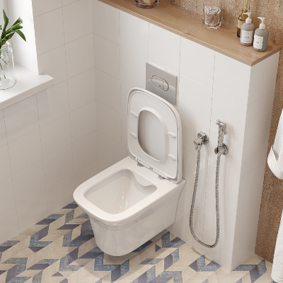 Унитаз AMI Aria подвесной безободковый Ceruttispa CT8780 (500x360x350) фото в интернет-магазине Русалия