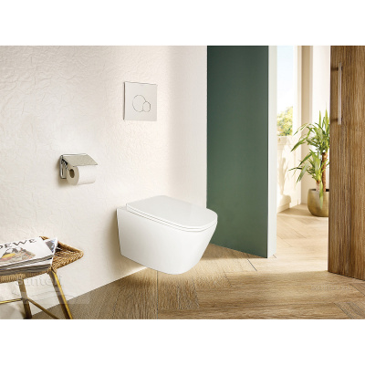 Унитаз подвесной безободковый Delphi 91343 Торнадо с сиденьем микролифт Loranto фото в интернет-магазине Русалия