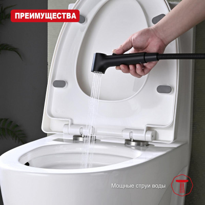 Лейка для гигиенического душа Raglo R460.05.06, черный фото в интернет-магазине Русалия