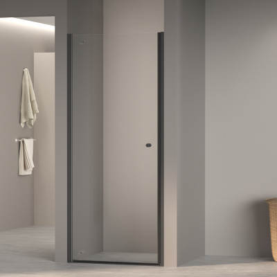 Душевая дверь Dolphin TN-03B 60 прозрачное, черный профиль фото в интернет-магазине Русалия