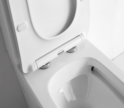 Унитаз напольный NS-2170 безободковый с сиденьем микролифт Ceramalux фото в интернет-магазине Русалия