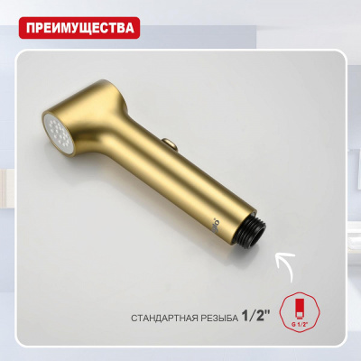 Лейка для гигиенического душа Raglo R460.05.03, золотой сатин фото в интернет-магазине Русалия
