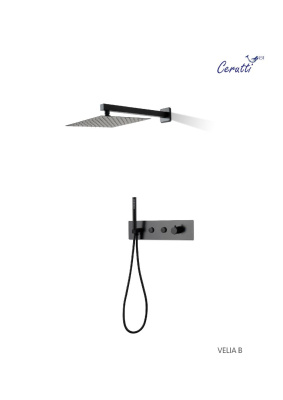 Панель VELIA B душевая встраиваемая из нержавеющей стали Ceruttispa CT10399, цвет черный фото в интернет-магазине Русалия