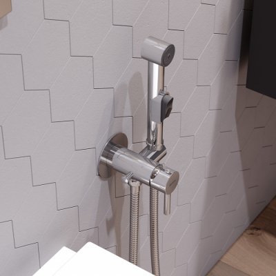 211000000 Option, смеситель монтируемый в стену, с гиг.душем и крючком фото в интернет-магазине Русалия