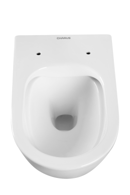 ESTELLA RIMLESS Безободковый подвесной унитаз EWC700-121W CHARUS фото в интернет-магазине Русалия