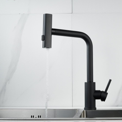 Смеситель для кухни с мультифункциональным изливом Raffine F203H, черный фото в интернет-магазине Русалия