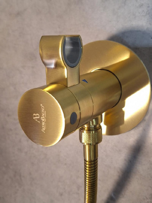 Гигиенический душ с термостатом BM 060403 OrSp AltroBagno фото в интернет-магазине Русалия